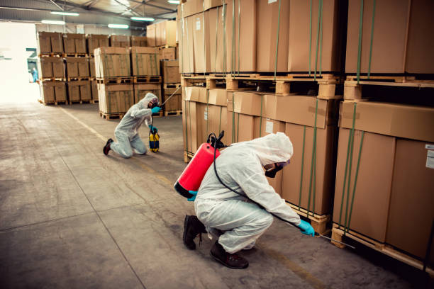 Best Affordable Pest Control Services  in Loogootee, IN