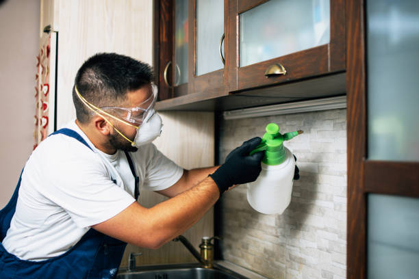 Best Flea Control Services  in Loogootee, IN