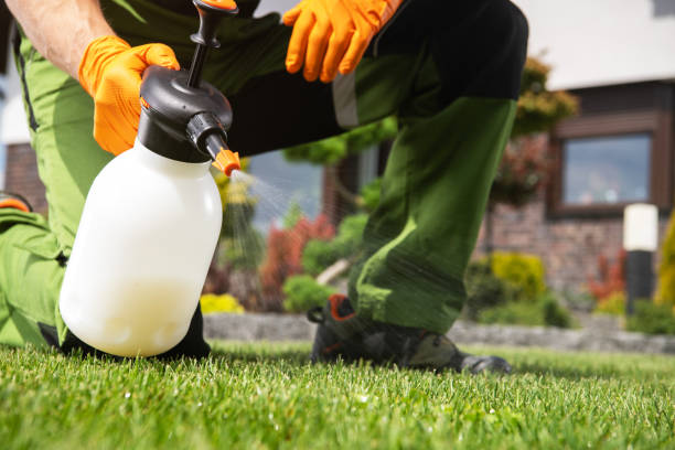 Best Pest Prevention Services  in Loogootee, IN