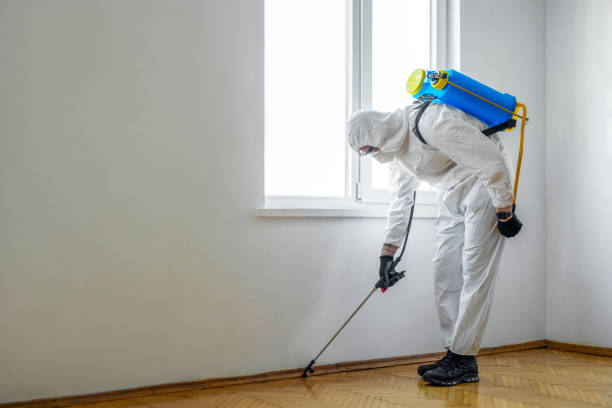 Best Residential Pest Control  in Loogootee, IN