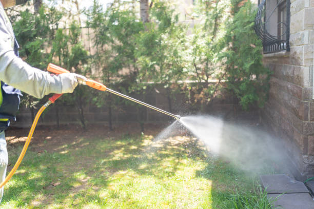 Best Pest Removal Services  in Loogootee, IN