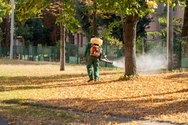 Best Termite Control Services  in Loogootee, IN