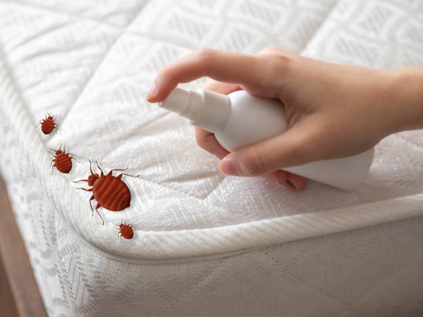 Trusted Loogootee, IN Pest Control Experts