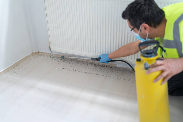 Best Pest Inspection Near Me  in Loogootee, IN